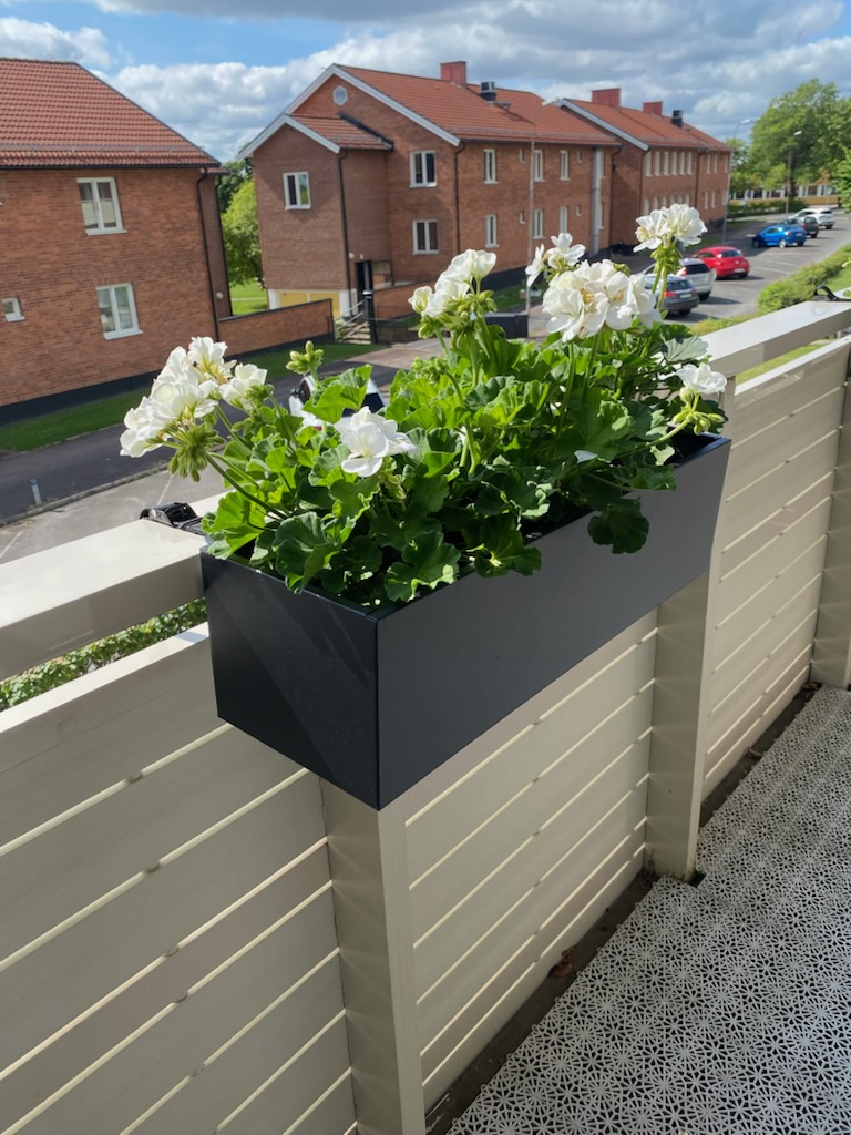 Blomlådor svart 60cm
