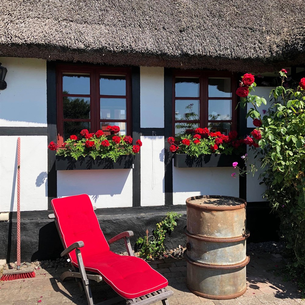 Blomlådor i mysig trädgård