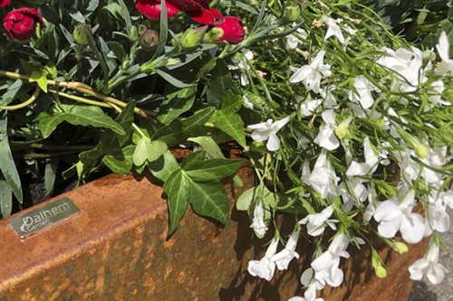 Detalj Gardenbox med blommor